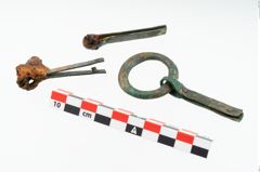 Foto von Bronzegürtelzwingen (NHMW-PRAE-023650)